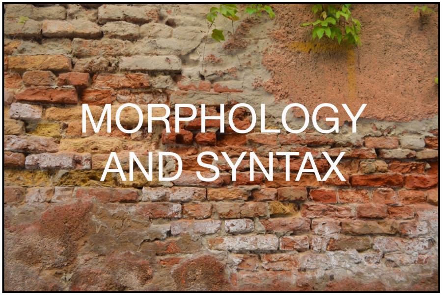 Morphology and Syntax